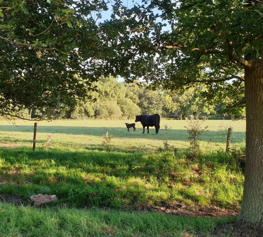 B&B De Scherpenhof Leur Luaran gambar