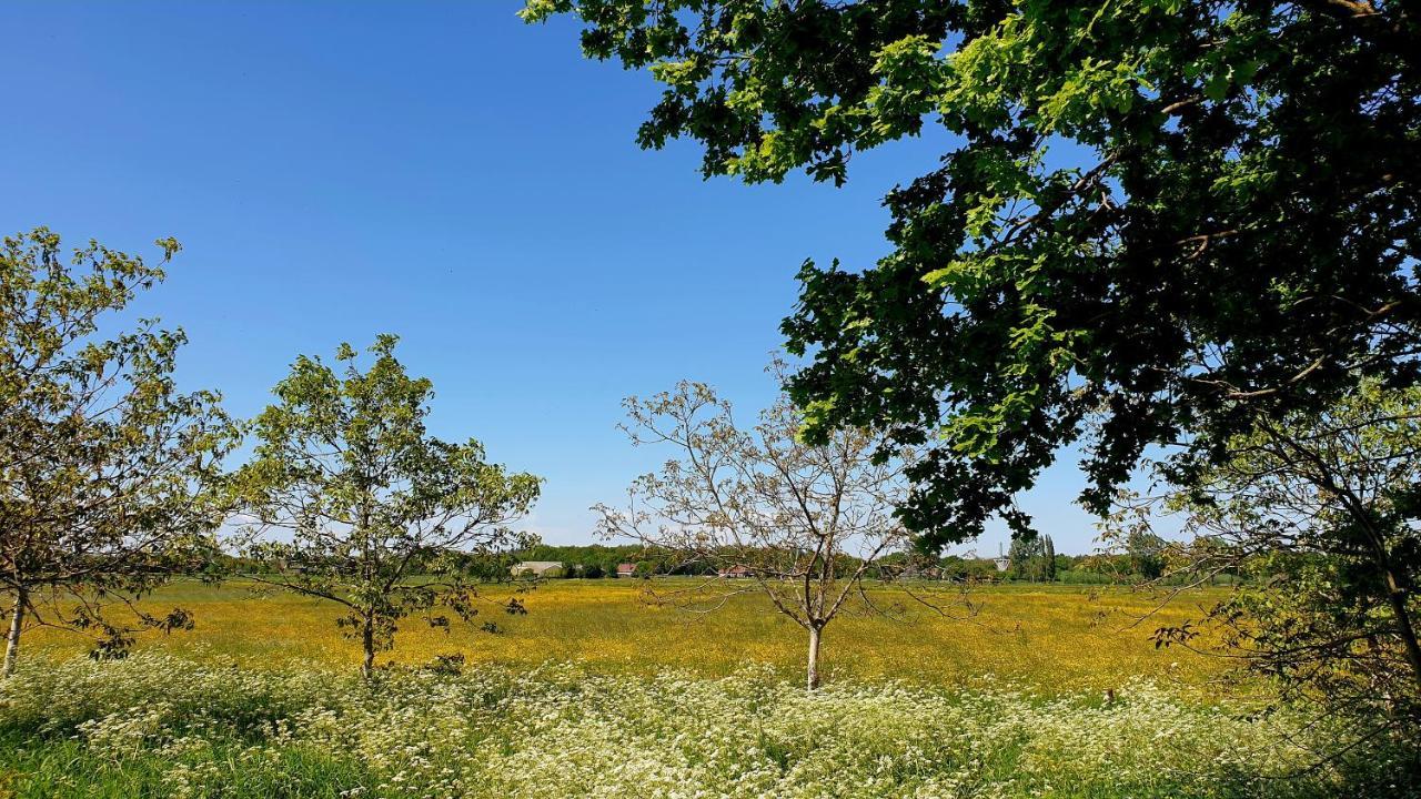 B&B De Scherpenhof Leur Luaran gambar