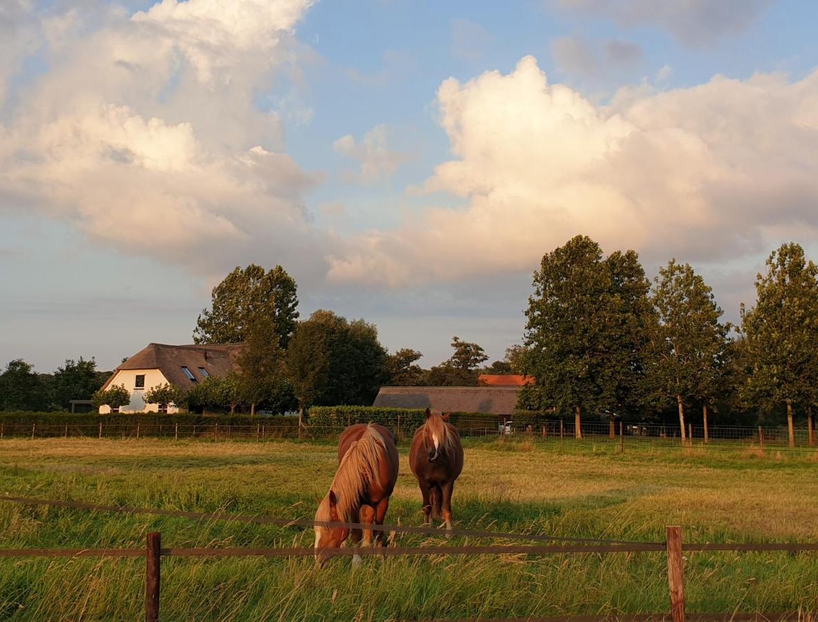 B&B De Scherpenhof Leur Luaran gambar