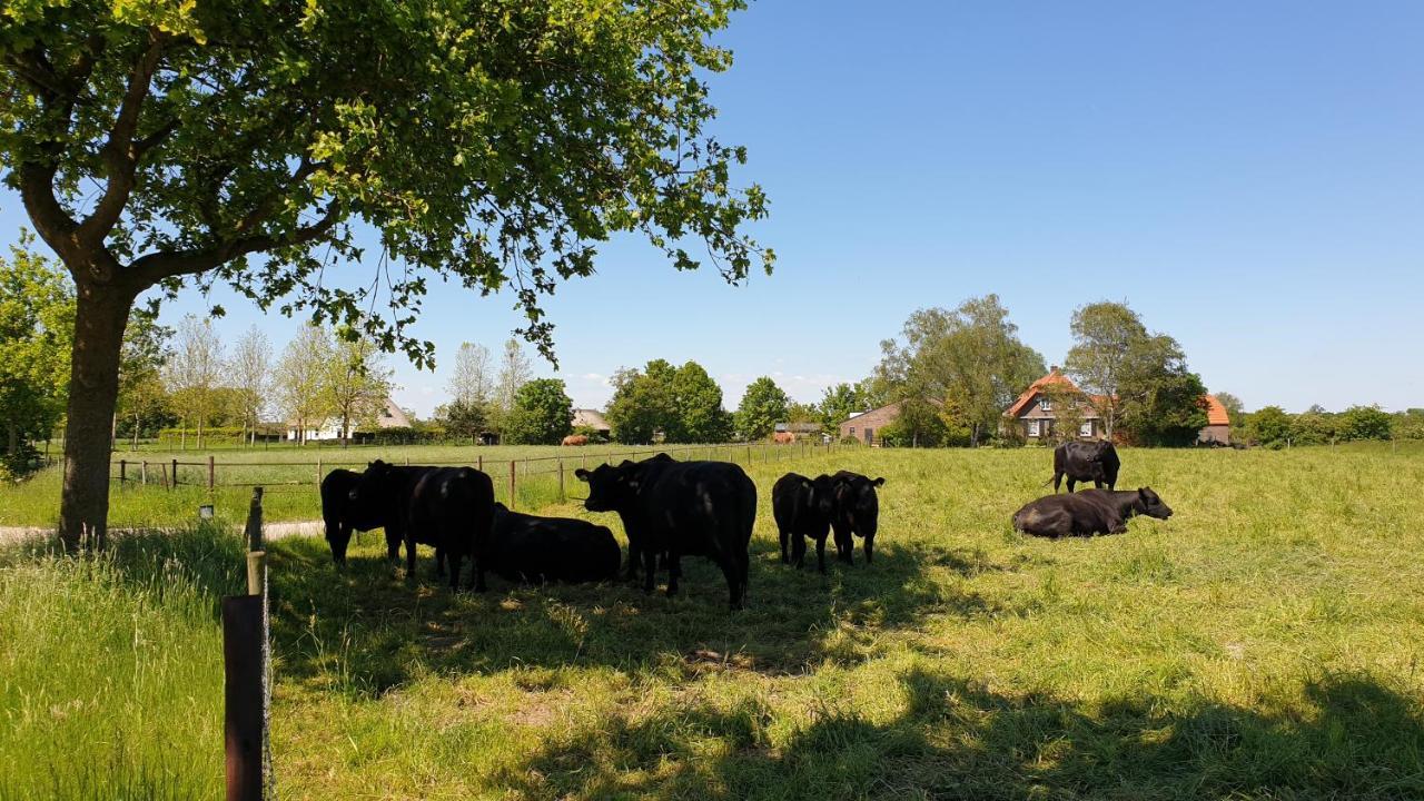 B&B De Scherpenhof Leur Luaran gambar